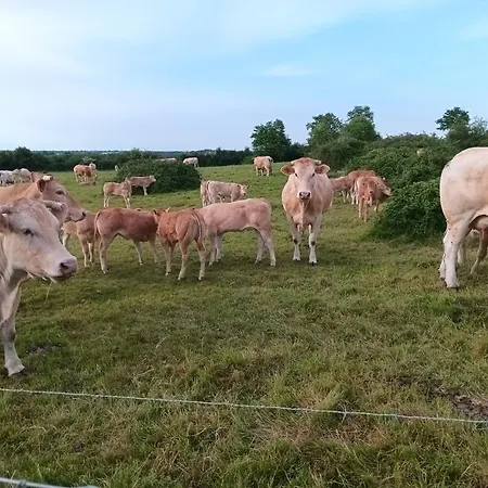 Maison 6-8 Personnes A 12km Du Puy Du Fou * Chambretaud